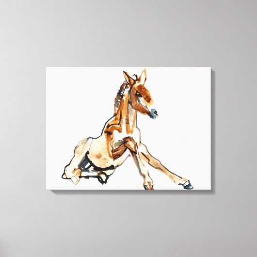 Ochre Foal Canvas Afdruk (Voorkant)