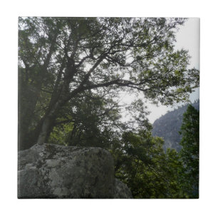 Ochtend op het pad naar Vernal Falls in Yosemite Tegeltje