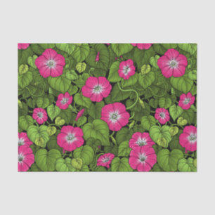 Ochtendglorie in roze en groen tissuepapier