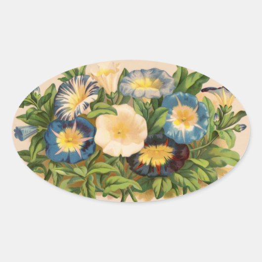 ochtendglorie ovale sticker (Voorkant)