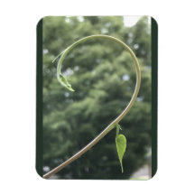 Ochtendglorie Rank en Blad Magneet