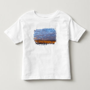 Ochtendlicht begroet de Sierra de la Giganta Kinder Shirts