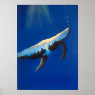 Ochtendlied Bultrugwal Onderwater Poster