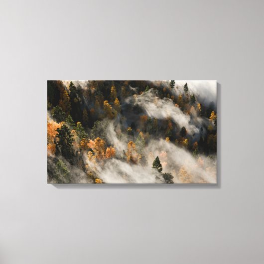 Ochtendmist Canvas Afdruk (Voorkant)