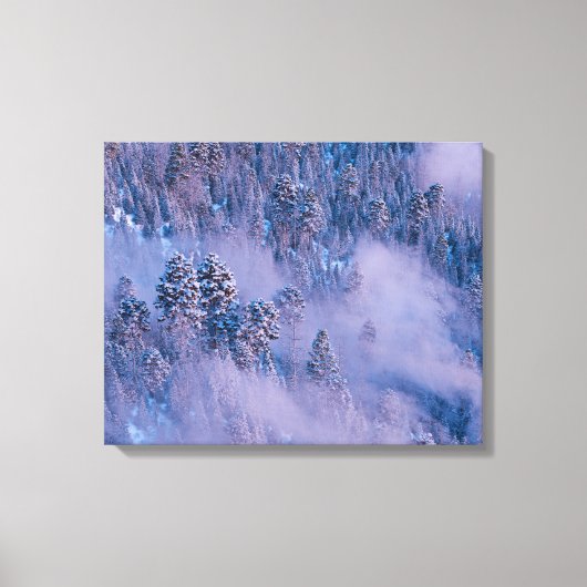Ochtendmist (Winter) Canvas Afdruk (Voorkant)