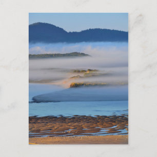 Ochtendnevel over Netarts Bay, OR Briefkaart