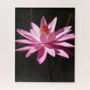 Ochtendrust: Roze Lotus in Zachte Natuurlijke Lich Legpuzzel