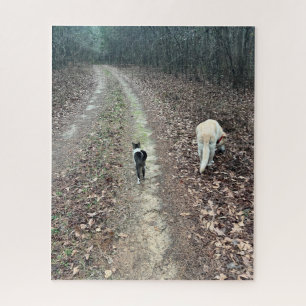 Ochtendwandeling Legpuzzel