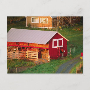 Ochtendwerkzaamheden op de boerderij. VS, Vermont, Briefkaart