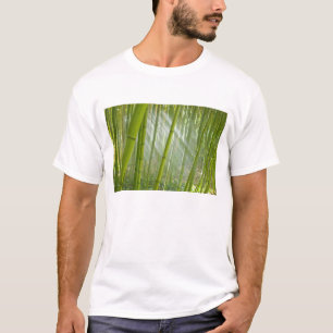 Ochtendzonlicht dat door bamboe filtert t-shirt