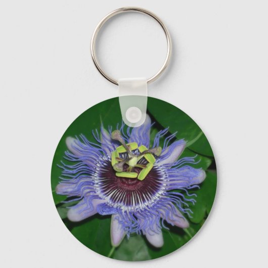 Ocoee flower Passiflora caerulea Passion flower Sleutelhanger (Voorkant)