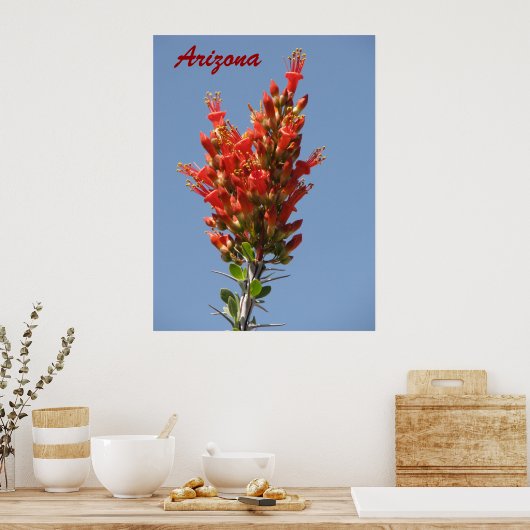 Ocotillo Bloom - Arizona Poster (Keuken)