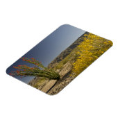 Ocotillo en woestijnsenna magneet (Linkerzijde)