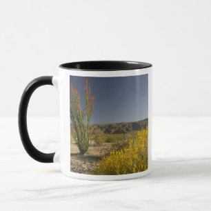 Ocotillo en woestinsenna mok