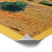 Ocotillo Flowers in Bloom, California DesertStat Poster (Hoek)