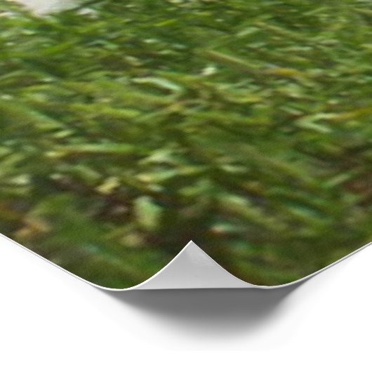 Ocracoke Poster (Hoek)