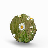 Octagonaal  fotoblokken (Rechts)