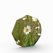 Octagonaal  fotoblokken (Links)