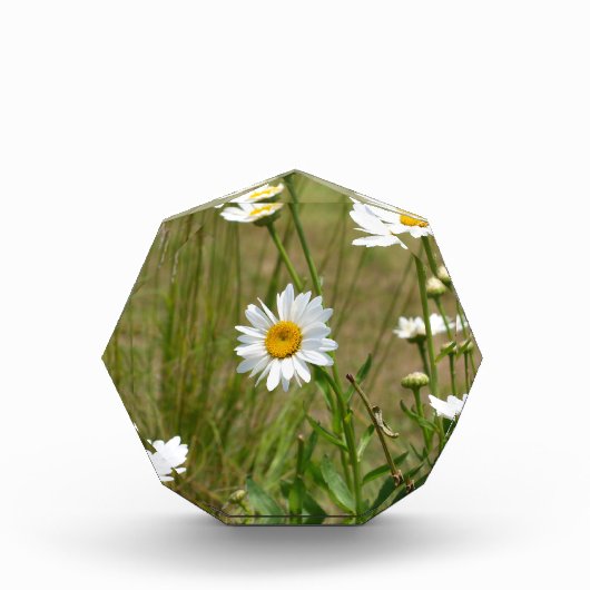 Octagonaal  fotoblokken (Voorkant)