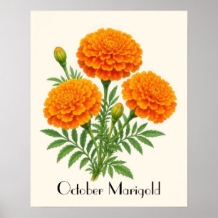 October Fluitjes Bloemen Poster