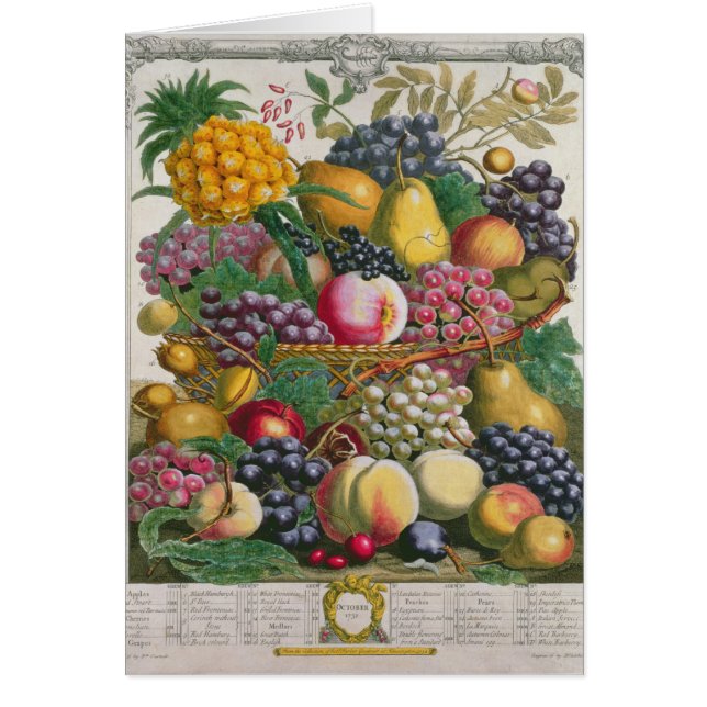 Octobre, de 'douze mois de fruits (Devant)