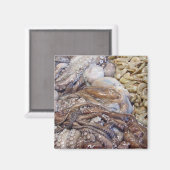 Octopi Magneet (Voorkant / Achterkant)