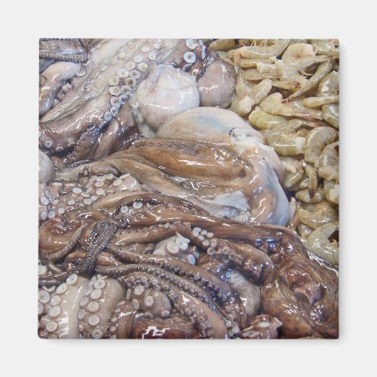 Octopi Magneet (Voorkant)