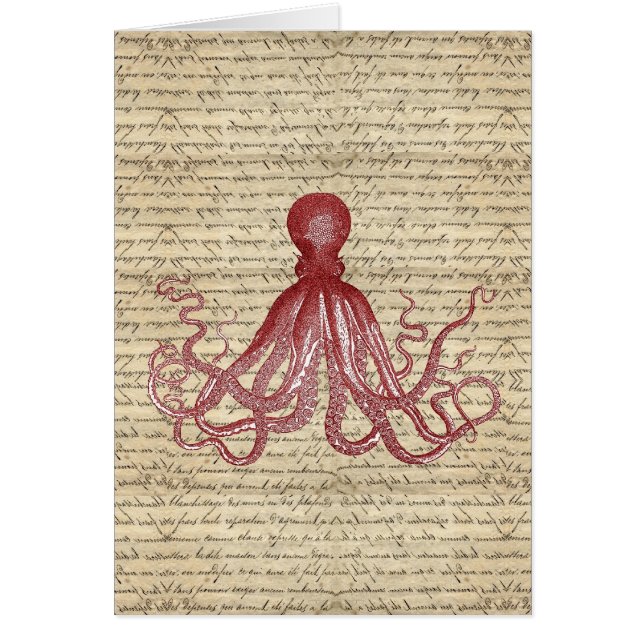 octopus (Voorkant)