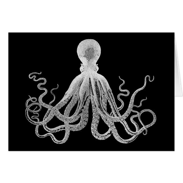  octopus (Voorkant Horizontaal)