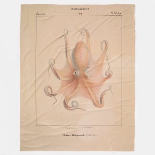  Octopus 1851 Eledon Aldrovandi Fleece Deken