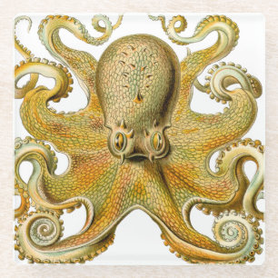 Octopus antiek illustratie zee monster glazen onderzetter