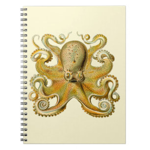 Octopus antiek illustratie zee monster notitieboek