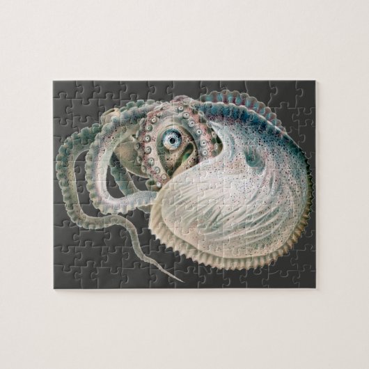 Octopus Argonaut, Inktvissen Dier Legpuzzel (Horizontaal)