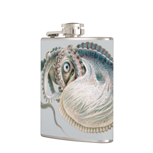 octopus argonaut, zeedieren heupfles (Links)