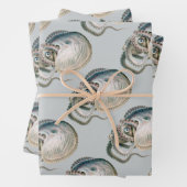 octopus argonaut, zeedieren inpakpapier vel (In situ)