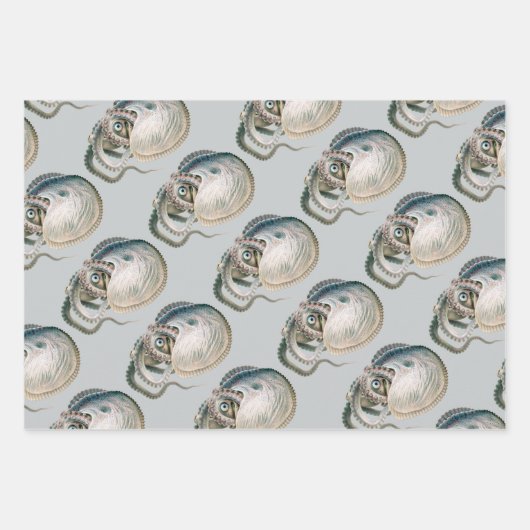  octopus argonaut, zeedieren inpakpapier vel (Voorkant)