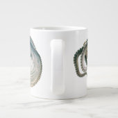 octopus argonaut, zeedieren jumbo mok (Achterkant)