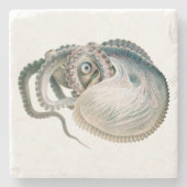 octopus argonaut, zeedieren stenen onderzetter (Voorkant)