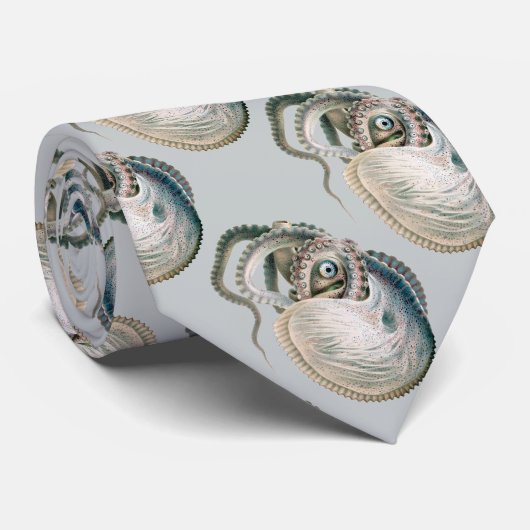 octopus argonaut, zeedieren stropdas (Opgerold)