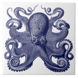 Octopus Blauw & Wit Tegeltje