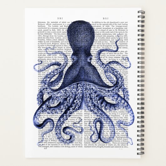 Octopus bleu (Dos)