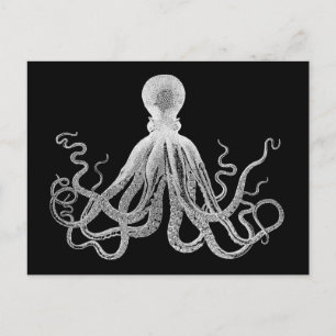  octopus briefkaart