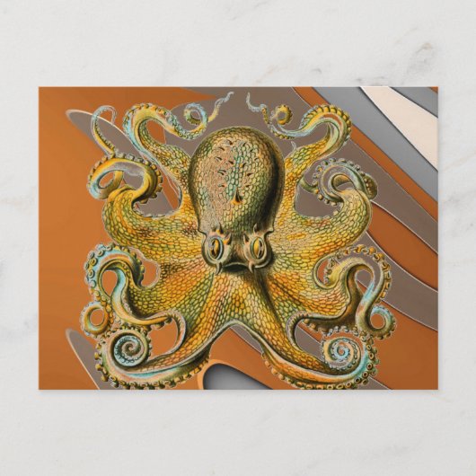Octopus Briefkaart (Voorkant)
