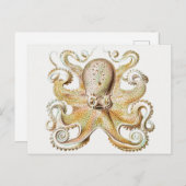  octopus briefkaart (Voorkant / Achterkant)