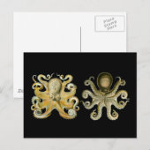 Octopus Briefkaart (Voorkant / Achterkant)