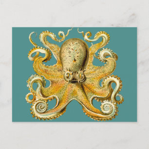 octopus briefkaart