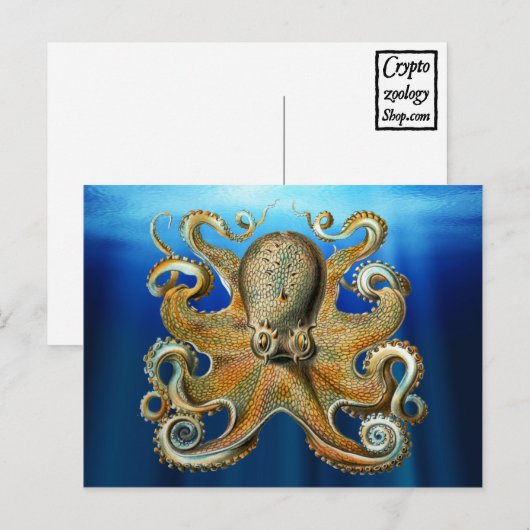 Octopus Briefkaarten (Voorkant / Achterkant)