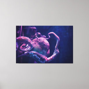 Octopus Canvas Afdruk