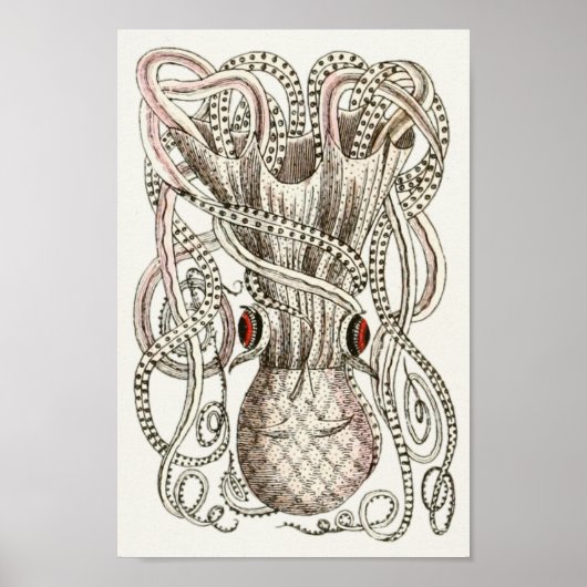 Octopus Cephalopod Zee Scheppen Kunstafdrukken Poster (Voorkant)