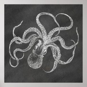 Octopus Chalkboard Achtergrond Sjabloon Poster
